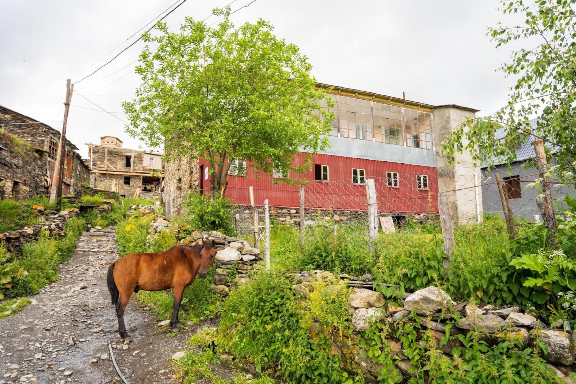Guesthouse Svani Ushguli Buitenkant foto